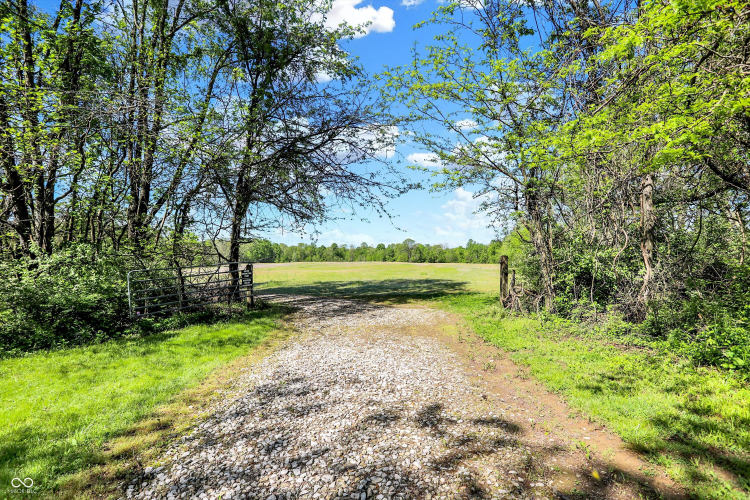Listing Image 51