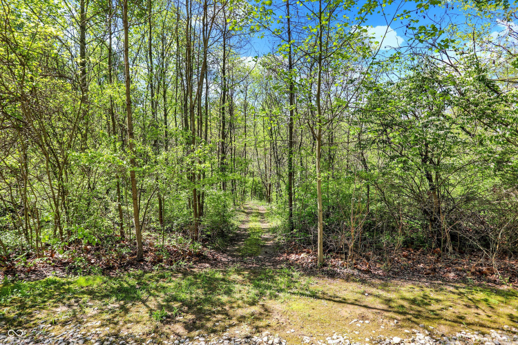 Listing Image 53