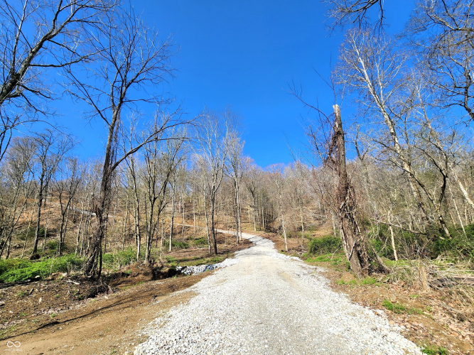 Listing Image 8