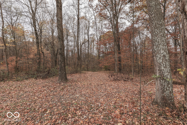 Listing Image 36
