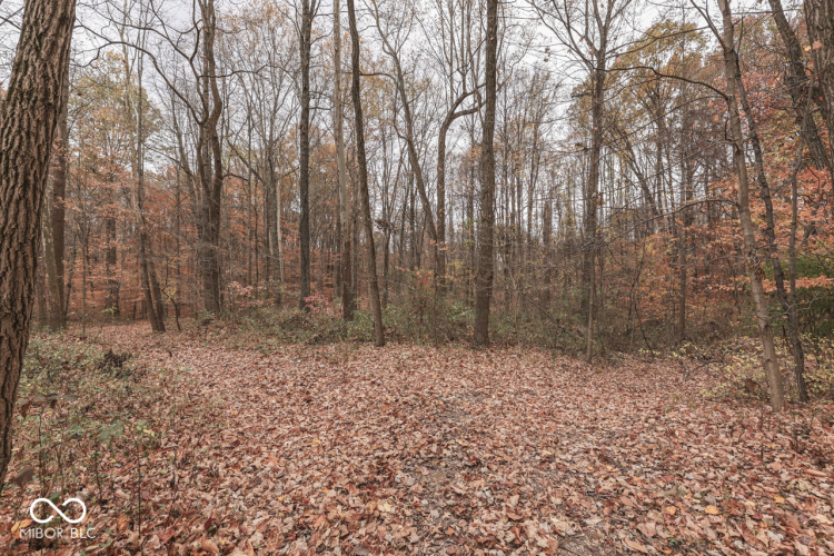 Listing Image 37