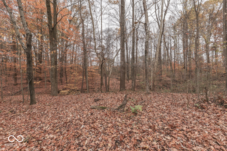 Listing Image 38