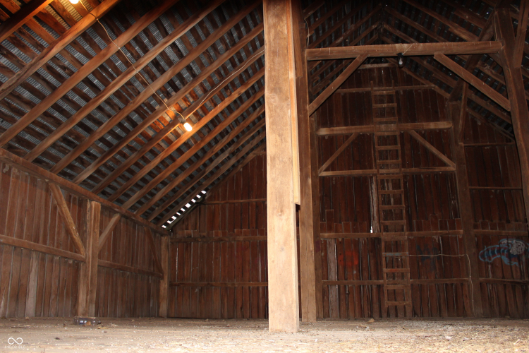 Listing Image 31