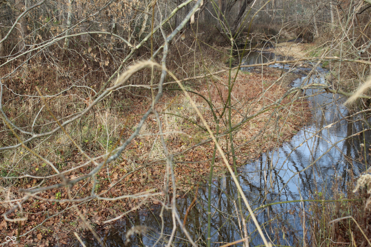 Listing Image 38