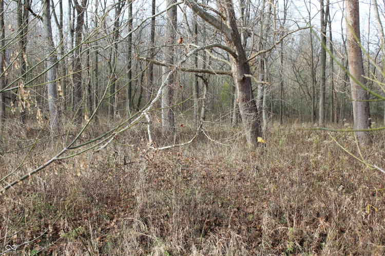 Listing Image 39