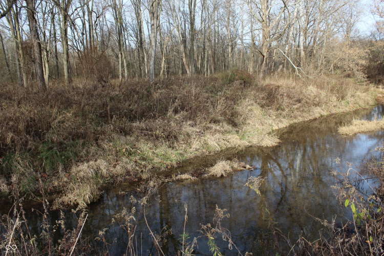 Listing Image 41