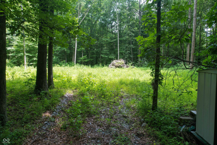 Listing Image 20