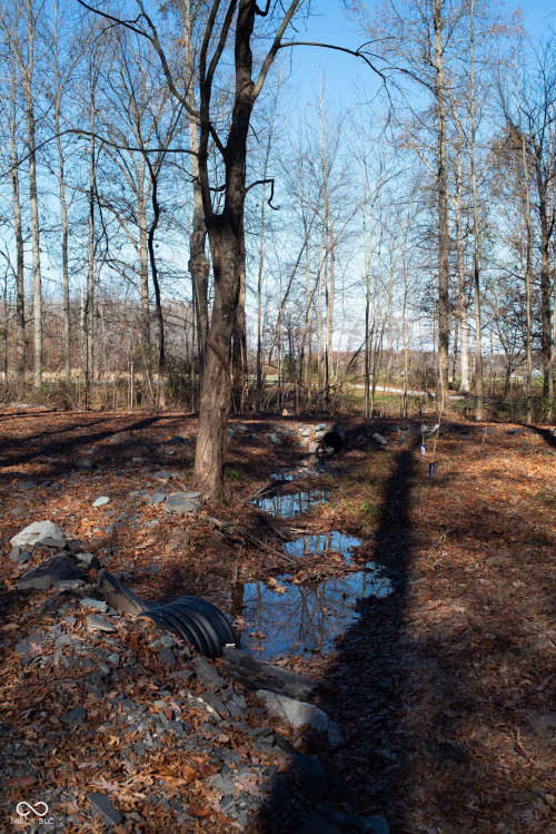 Listing Image 41