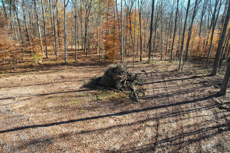 Listing Image 50