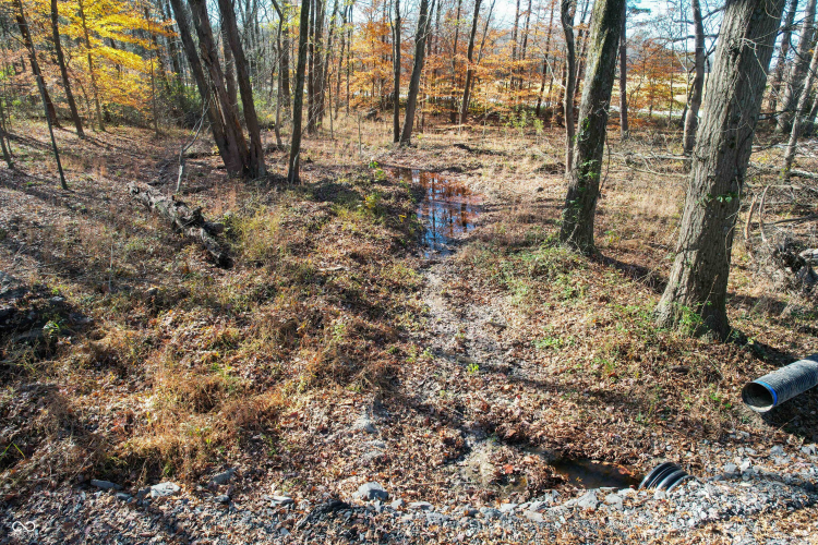 Listing Image 60