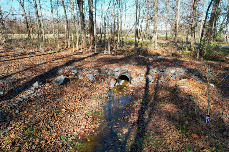 Listing Image 64
