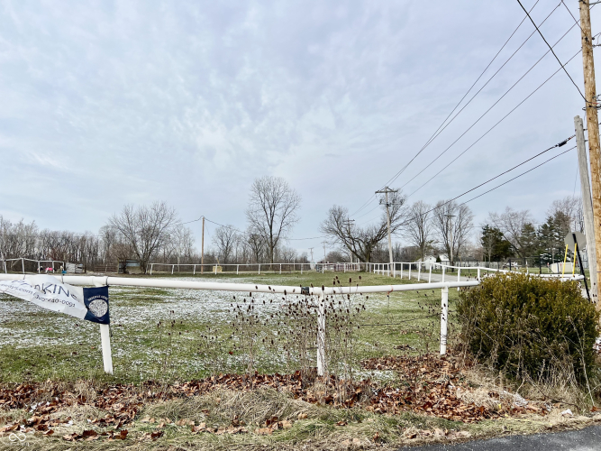 Listing Image 19