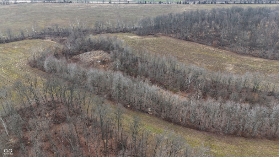 Listing Image 31