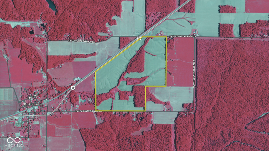Listing Image 38