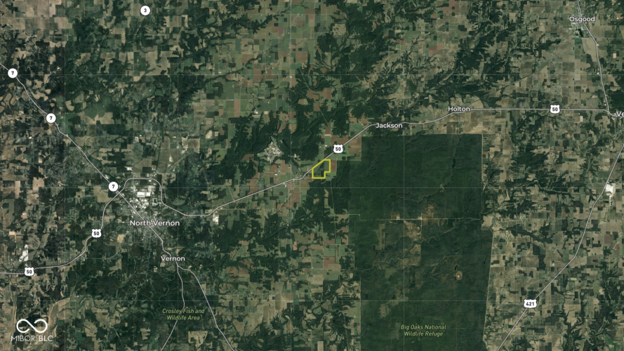 Listing Image 44