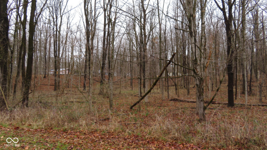 Listing Image 4
