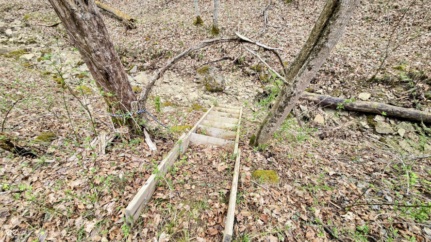 Listing Image 15