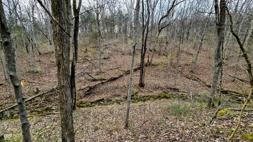 Listing Image 16