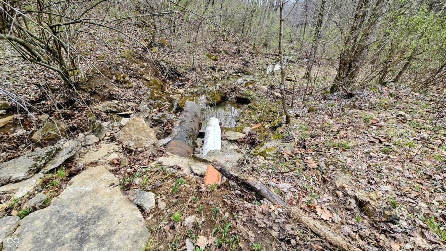 Listing Image 17