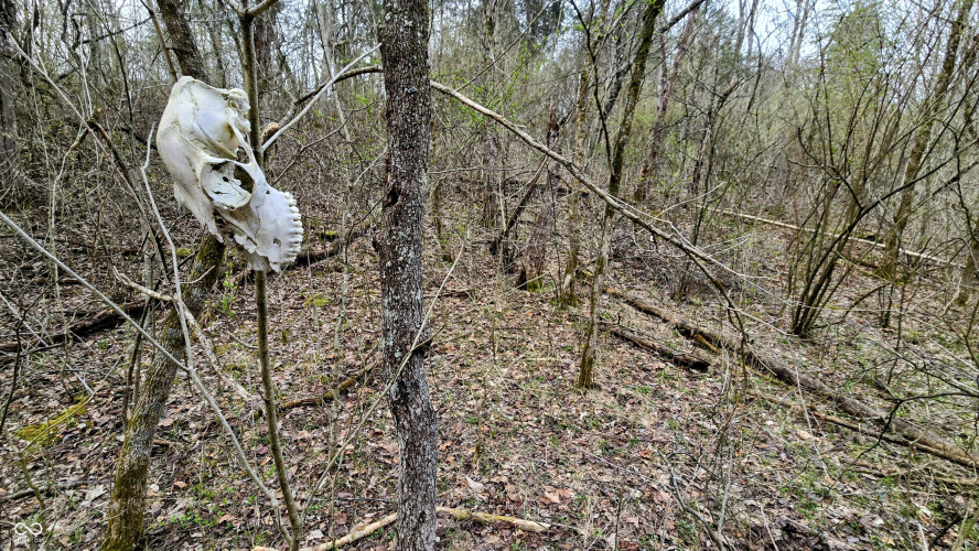 Listing Image 18