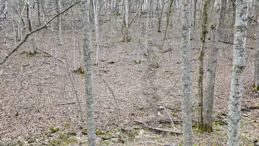 Listing Image 25