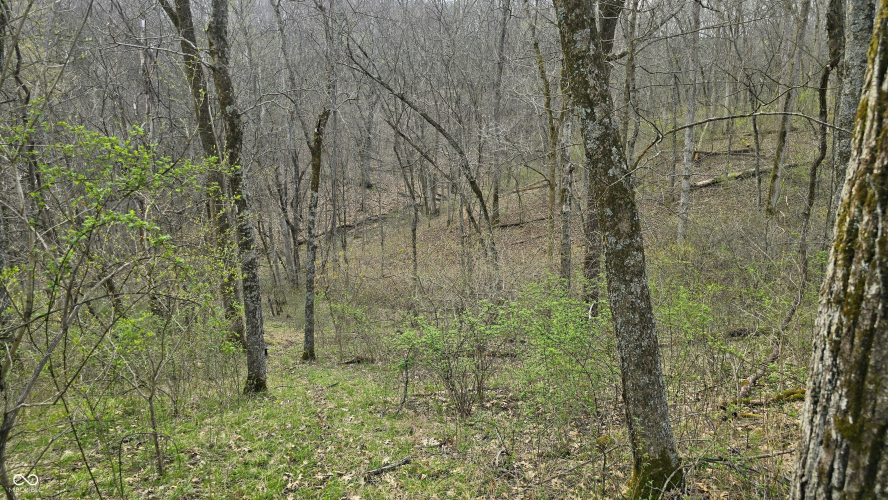 Listing Image 26
