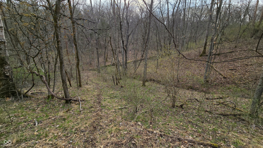 Listing Image 27
