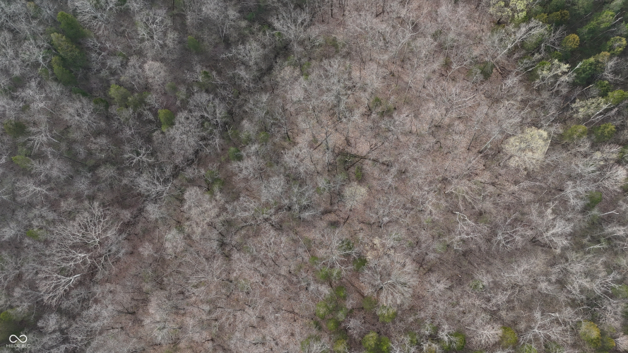 Listing Image 30