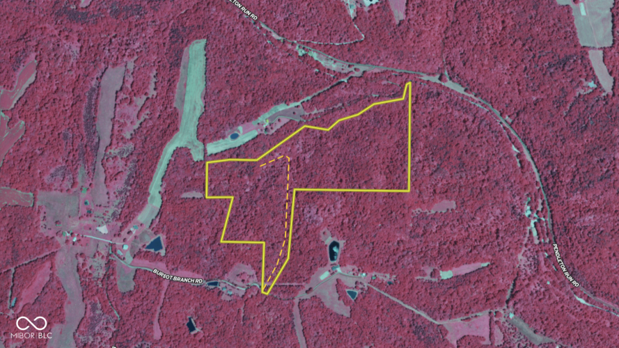 Listing Image 39