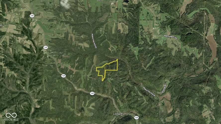 Listing Image 43