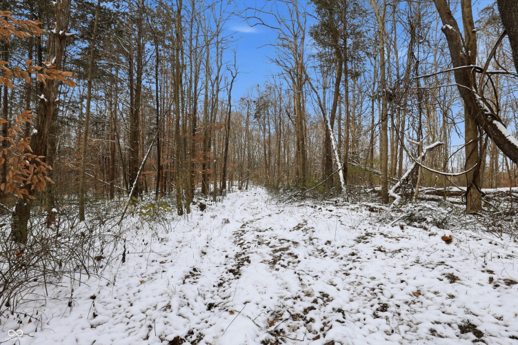 Listing Image 23