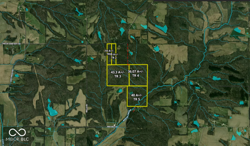 Listing Image 18