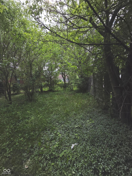 Listing Image 27