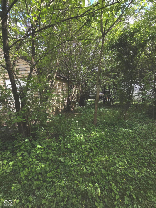 Listing Image 28