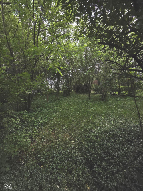 Listing Image 30
