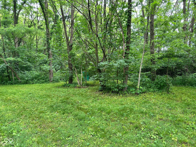 Listing Image 24