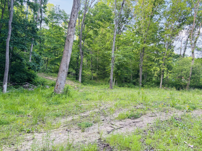 Listing Image 4