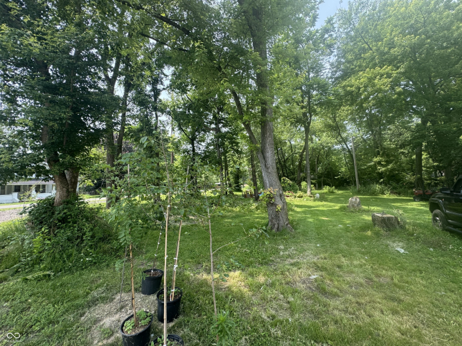 Listing Image 17