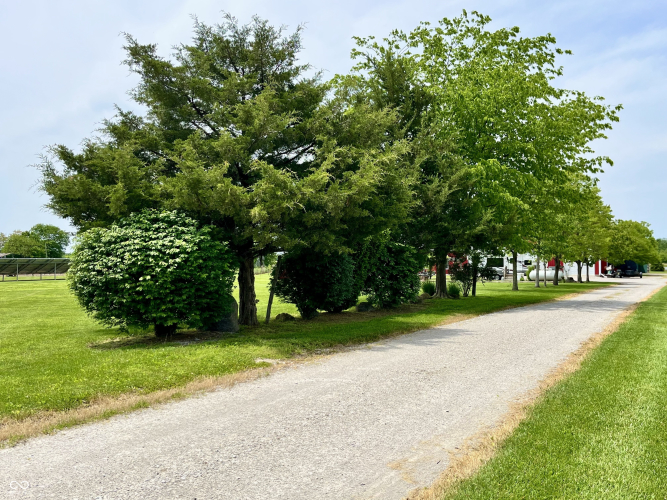 Listing Image 80