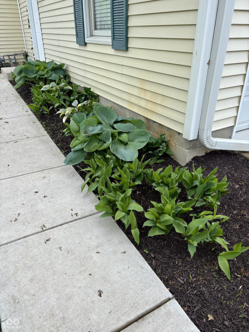 Listing Image 51