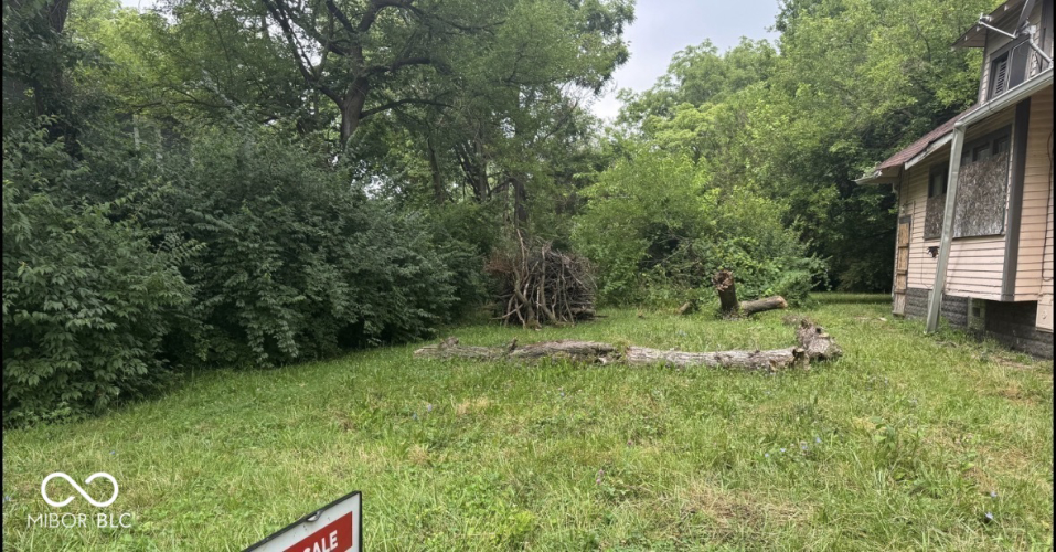 Listing Image 3