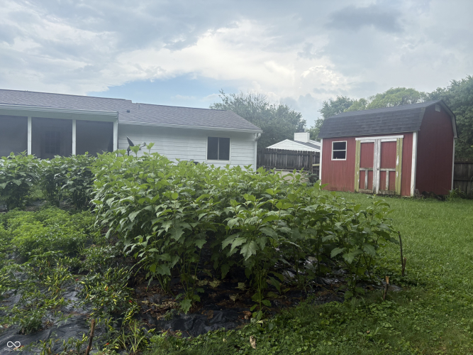 Listing Image 6