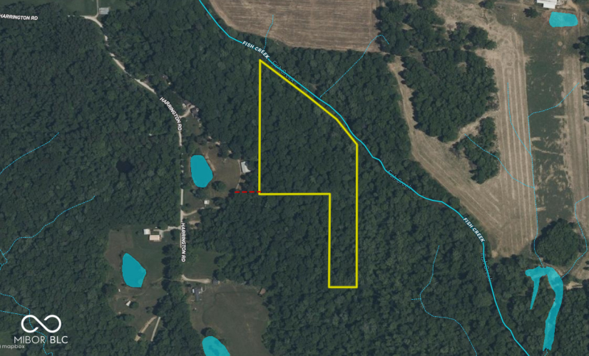 Listing Image 13
