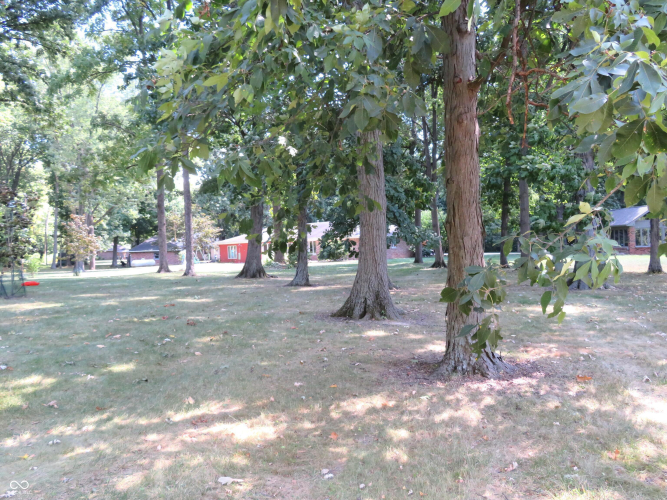Listing Image 50