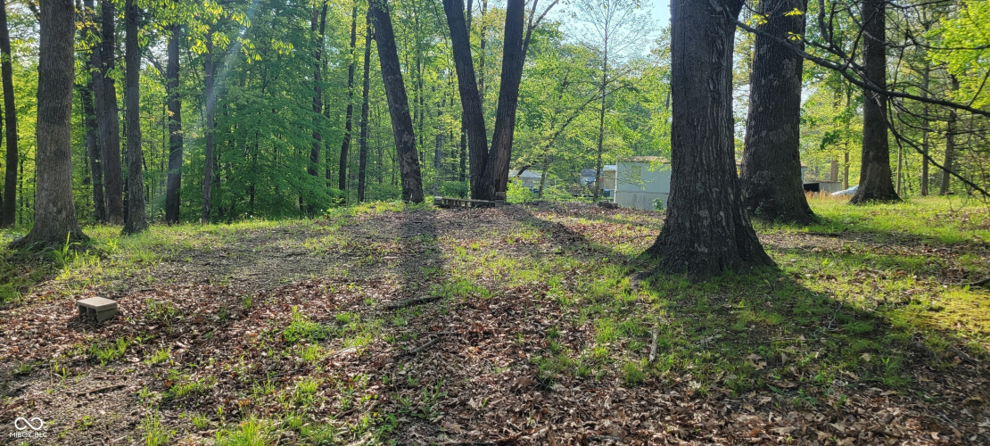 Listing Image 8