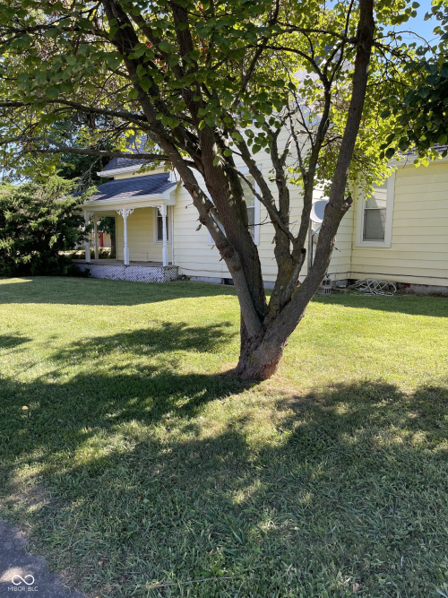 Listing Image 22