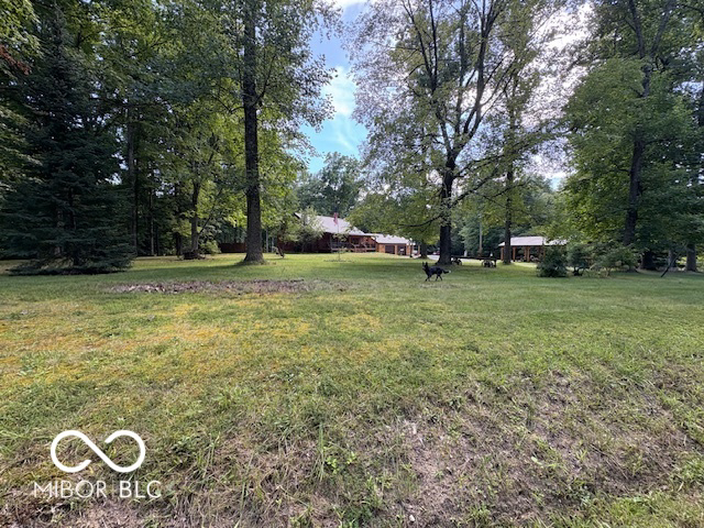 Listing Image 32