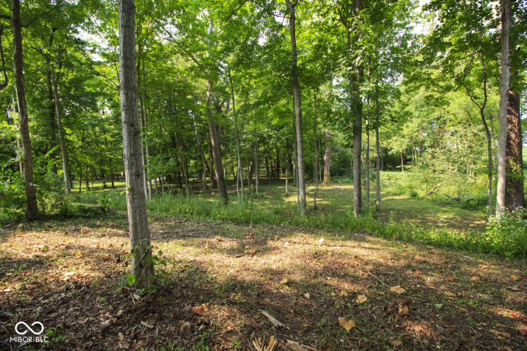Listing Image 52