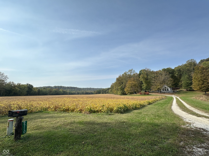 Listing Image 7