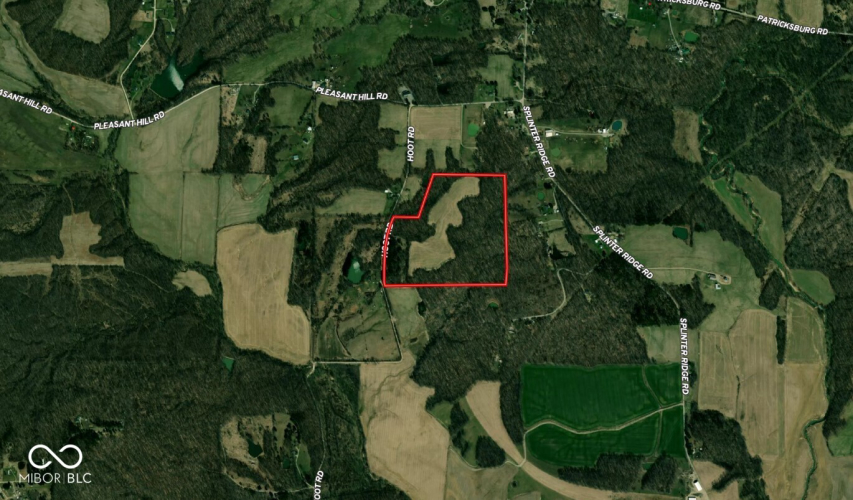 Listing Image 10